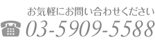 お気軽にお問い合わせください 03-5909-5588